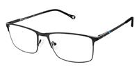 Champion Extended Size Ophthalmic Collection - 4015