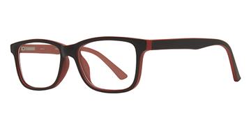 Eyeglass Frame: SW530