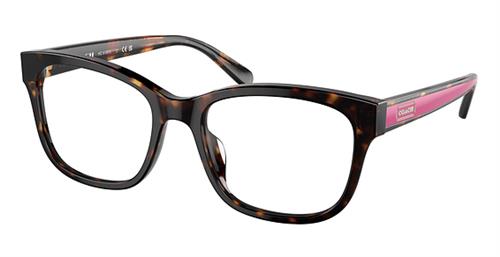 Luxottica coach hot sale frames